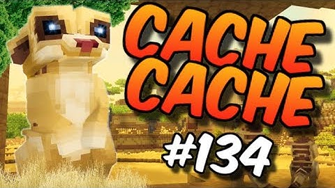 CACHE CACHE SUR MINECRAFT ! MAP SAVANE ! ÉPISODE 134 !