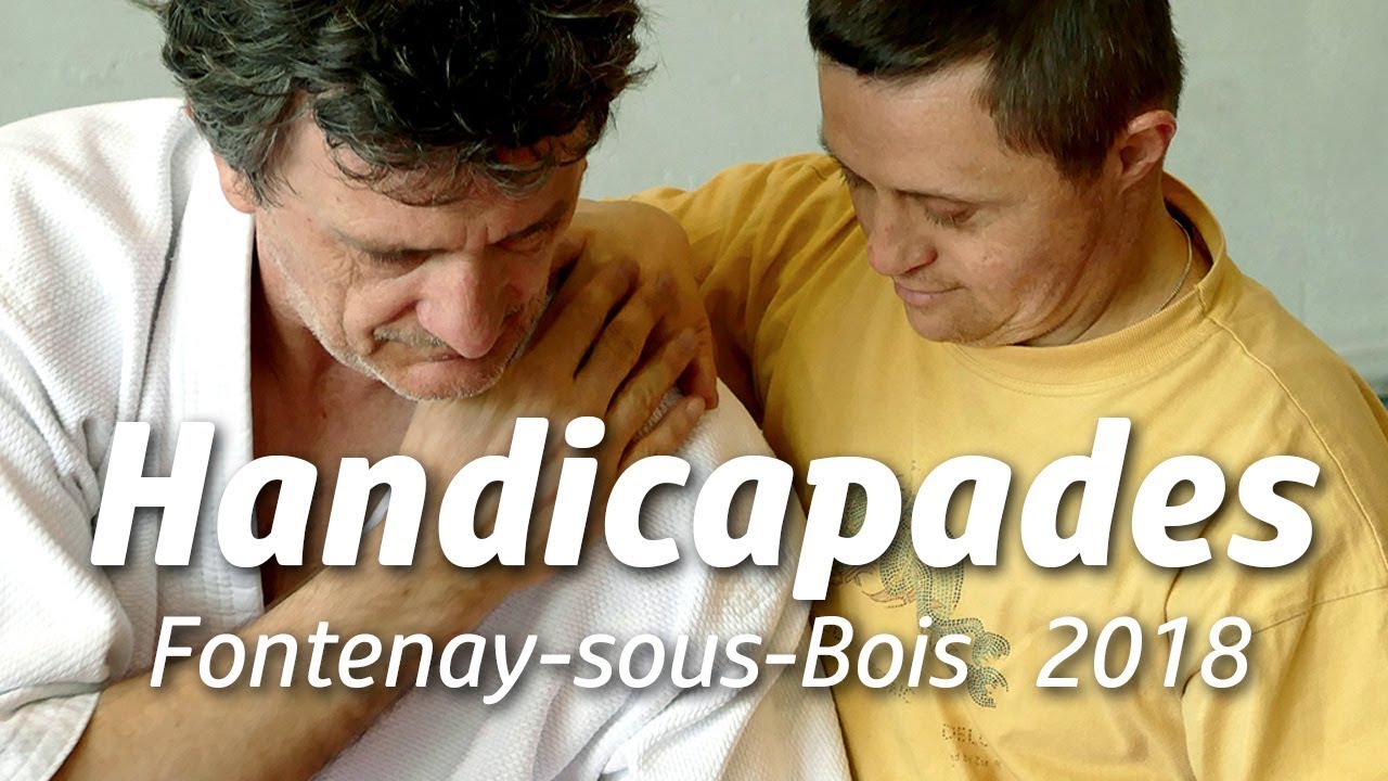 Handicapades Fontenay sous Bois 2018 avec usf aikido et la ligue de sport adpté IDF