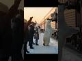 Ice Bear Saved The Passengers😀🐨 #trending #viral #shortvideo #viralvideo