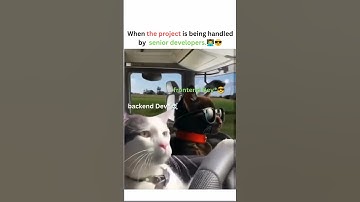 When the Project Hits the Road with Senior Devs 😎🧑‍💻 #DevLife #CodingMemes #Frontend #Backend