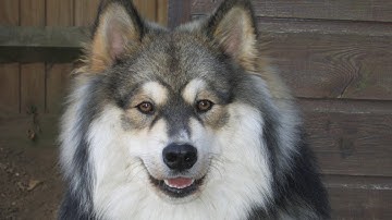 NICK MO HITMARKER VID COMPILATION HAPPY HOLIDAYS NEWYEARS 2013 2014!!! YA