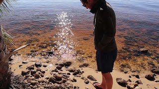 Looking for Megalodon Teeth in Florida || Goat Island Adventure Pt. 1