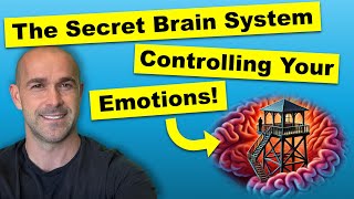 Your Brain’s Secret Control Centre!
