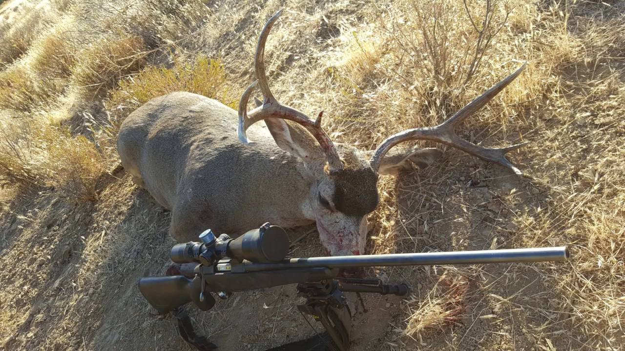 Central California Blacktail hunt 2016 