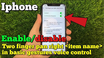 How to enable or disable two finger pan right item name in basic gestures voice control on iPhone X