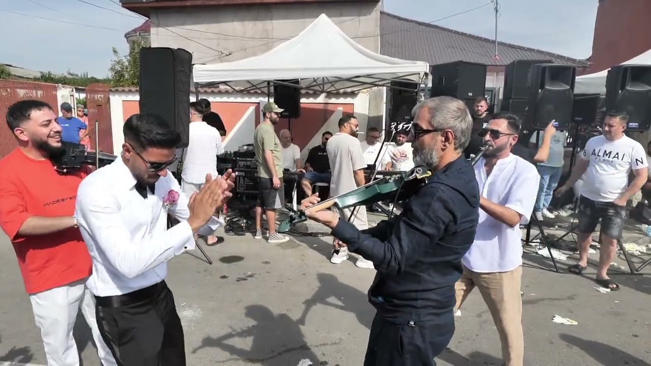 logodna alin si contesa 2