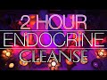 2.5 Hour Endocrine Cleanse Healing Meditation | 432Hz Scale Crystal Singing Bowls | 7 Chakras