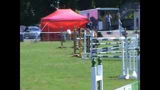 Amarula MVNZ - Ashburton ESNZ, 1.3m champ, 1st place