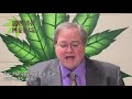 Cannabis Common Sense 1077