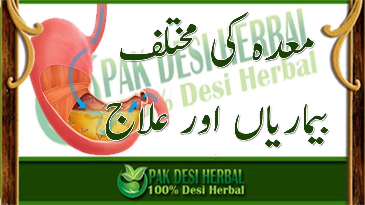 Herbal treatment for Stomach diseases in Hindi