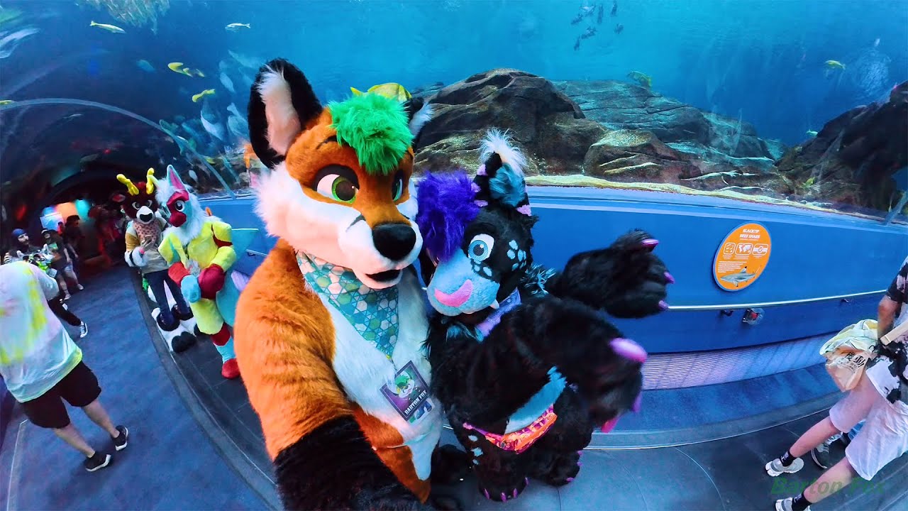 Furry Weekend Atlanta 2025 (FWA 2025) - Random Clips
