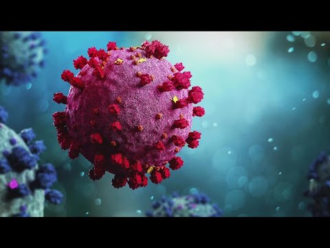 Видео: Яагаад халдвар ихэсдэг вэ?