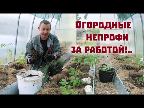 Завалили сеном теплицу и почти закончили огородные посадки!