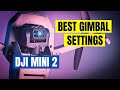 Best DJI Mini 2 Gimbal Settings (and Yaw) for Cinematic Footage