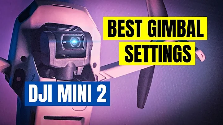 Best DJI Mini 2 Gimbal Settings (and Yaw) for Cinematic Footage