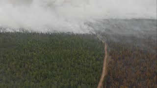 Тушим лесной пожар в Якутии Yakutia