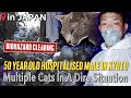 [Biohazard Clearing] 50 Year Old Hospitalised Male in Kyoto | Multiple Cats In A Dire Situation