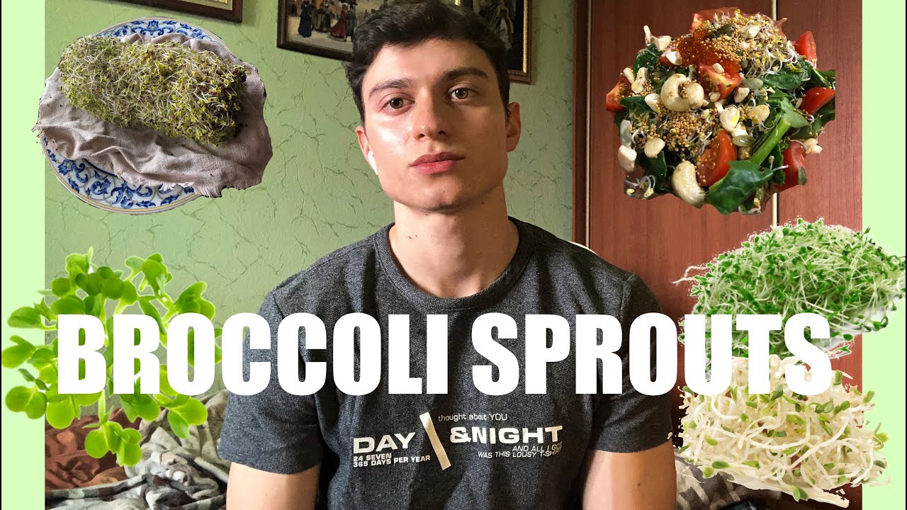 HOW i grow BROCCOLI SPROUTS и обзор на квашенную капусту