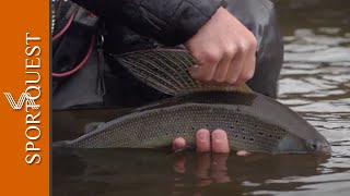 Fly Fishing Salmon, Trout and Grayling Bristol Bay Lodge, Alaska 🐟