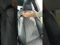Blackline Interior Reset Spray #blackline #blacklinecarcare #carcare #detailing #fathersday