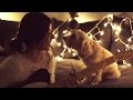 Christmas Time Is Here - Daniela Andrade ft. Cutest Dog in the Galaxy