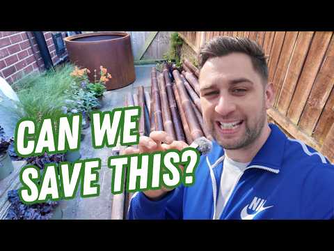 Final Prep Before RHS Malvern Show Build | Episode 3 – Plant Hunt, Forcing Flowers & Rising Costs