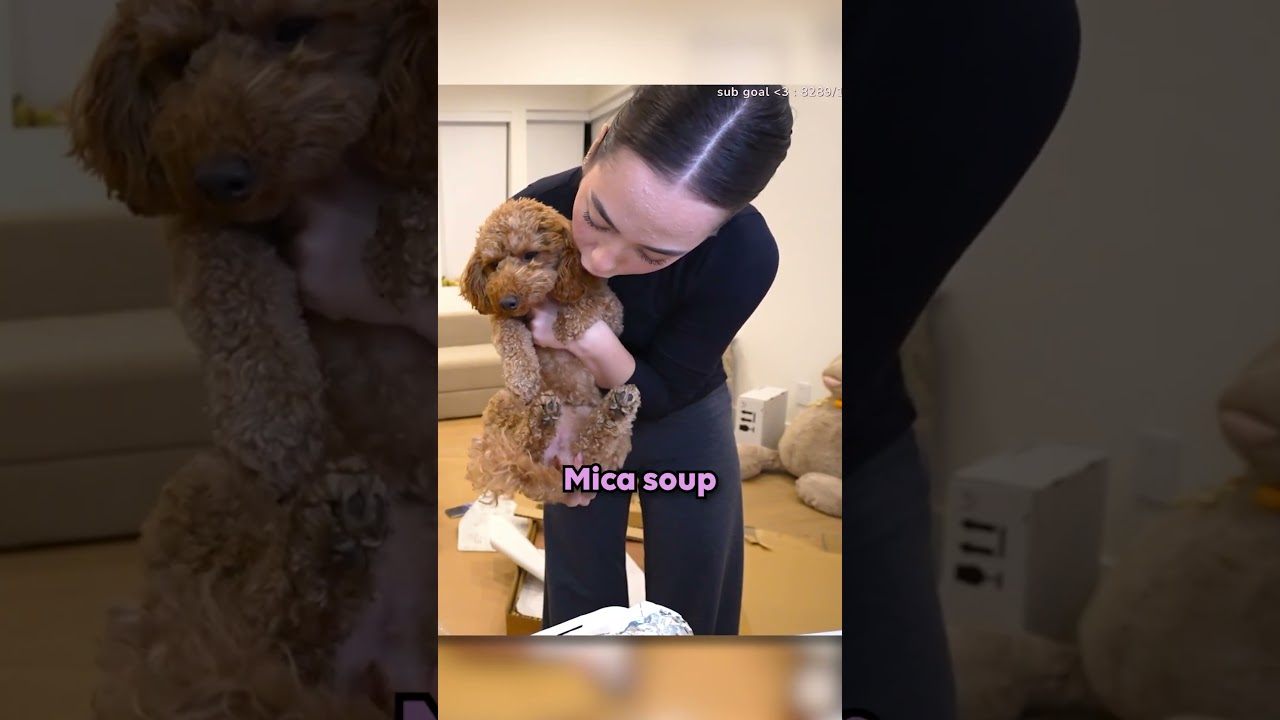 MICA использовала СУП... это было суперэффективно! 