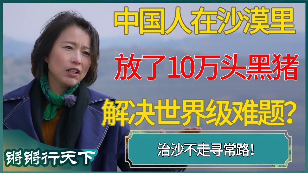 中国人在沙漠里放了10万头黑猪，就解决世界级治沙难题？#锵锵行天下 #锵锵拾遗 #窦文涛 #梁文道 #马未都 #马家辉 #周轶君 #许子东 #圆桌派