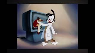 Yakko wants you to get a life foundation!