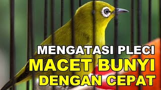 Cara mengatasi pleci macet bunyi