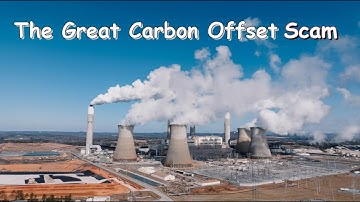 The Carbon Offsetting Myth: Why Planting Trees Won’t Save the Planet