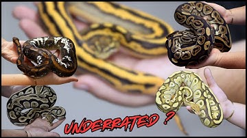 Crazy Underrated Combos That Actually Work!!