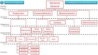 Organigrama-Pasos