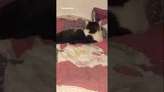 IMG 4853