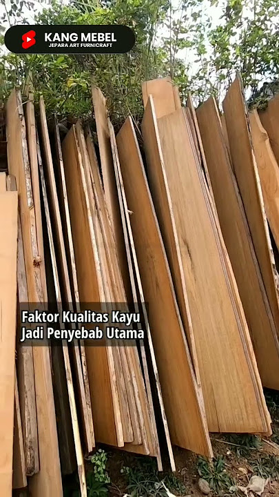 Tempat Tidur Dirumahmu Berbunyi❓ Mungkin Ini Penyebabnya 🤗 #mebel #furniture #kayujati #mebeljepara