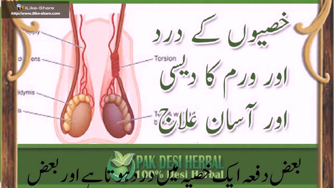 Herbal treatment of testis pain in Urdu