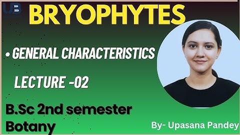 General Characteristics of Bryophytes | Bryophytes | BSc second semester Botany