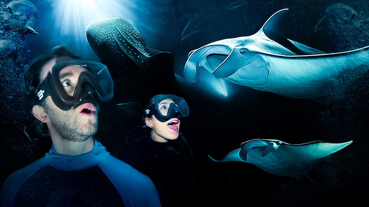 Nadamos de NOCHE EN EL OCÉANO con MANTAS GIGANTES y DELFINES 🔦 -  📍Maldivas