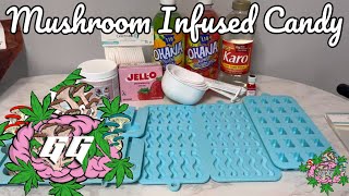 Making Mushroom infused Hard & Gummie Candies | GGMyco Snack Bar