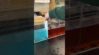 Oceanography - Warm Water vs. Cold Salty Water