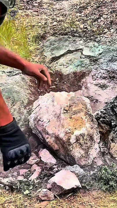 Treasure search #metaldetecting #treasure