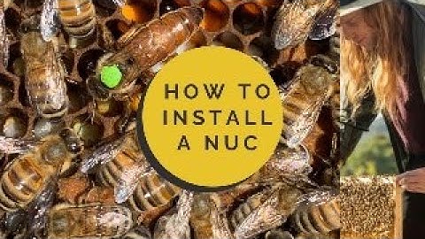 How to Install a Nuc of Bees