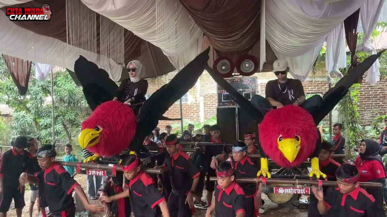 PENGANTIN NAIK RAJAWALI CUTA MUDA - ATRAKSI RAJAWALI CENGOS TEAM CUTA MUDA LIVE DI BATURUMPIL 