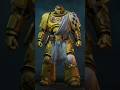 Lamenters - Veteran Sergeant -Tactical-SM2 #40k #warhammer #spacemarine2 #spacemarines #warhammer40k