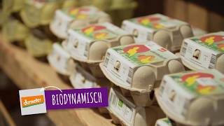 Download Lagu Inwerkprogramma medewerkers | Ekoplaza MP3