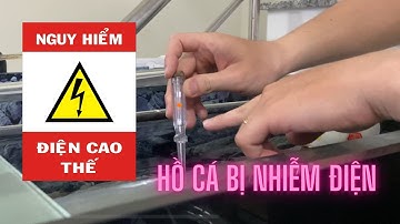 KHẮC PHỤC HỒ CÁ BỊ NHIỄM ĐIỆN | THIẾT BỊ HỒ CÁ BỊ RÒ ĐIỆN
