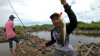 PESTA STRIKE !!! casting gabus di saat air lagi surut screenshot 4