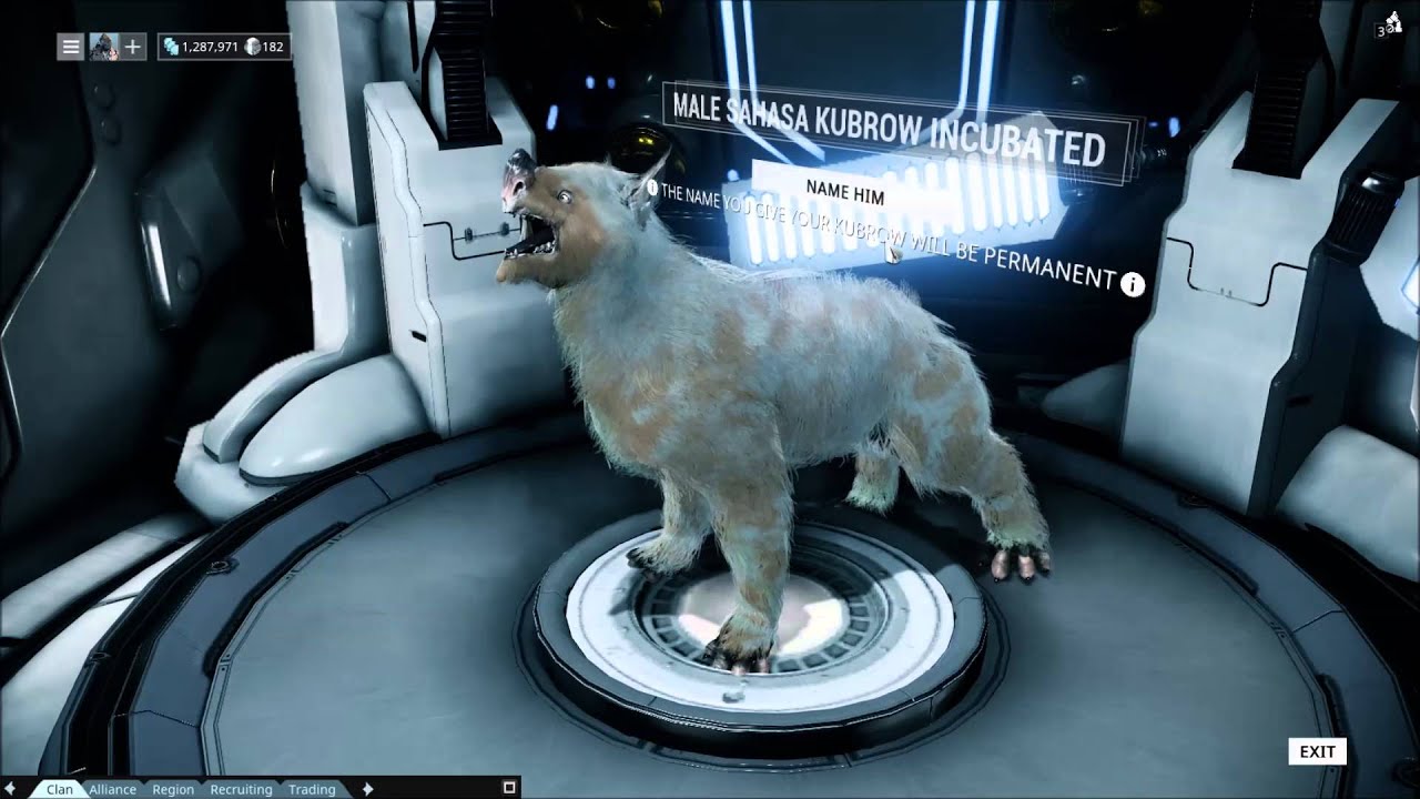 Warframe: How to Mature a Kubrow in 24 hours