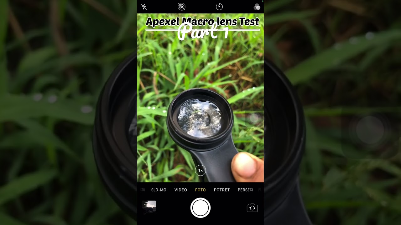 Test lensa macro Apexel || part 1