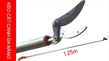 Kéo cắt cành trên cao dùng cắt cành trên sân thượng hoặc cắt cỏ lúa tiện lợi - Goods Perfect